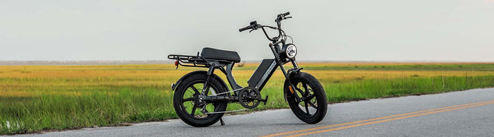 Riding with Juiced: A pro boxer's most trusted training companion!