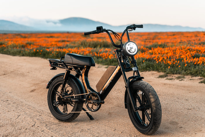 Scorpion & HyperScorpion Update: May 1, 2020